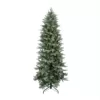 Northlight 12 ft. x 62 in. Pre-Lit Washington Frasier Fir Slim Artificial Christmas Tree Clear Lights