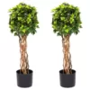 Pure Garden 30 in. English Ivy Single Ball Topiary Tree (2-Pack)