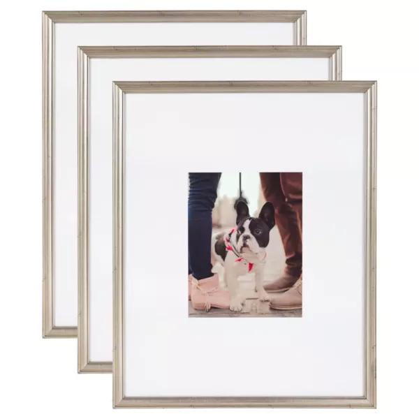 Kate and Laurel Adlynn 16 in. x 20 in. matted to 8 in. x10 in. Silver Picture Frames (Set of 3)