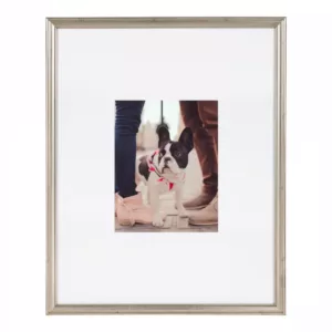 Kate and Laurel Adlynn 16 in. x 20 in. matted to 8 in. x10 in. Silver Picture Frames (Set of 3)