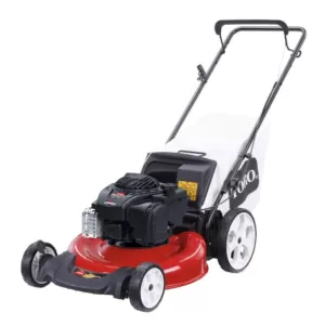 Toro Recycler 21 in. Briggs & Stratton High Wheel Gas Walk Behind Push Lawn Mower with Bagger