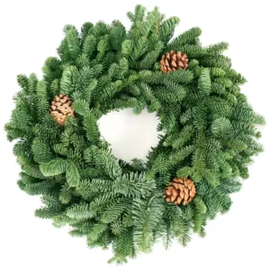 VAN ZYVERDEN 16 in. Live Fresh Cut Pacific Northwest Noble Fir Christmas Wreath with Cones