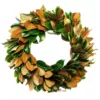 VAN ZYVERDEN 24 in. Classic Magnolia Christmas Wreath