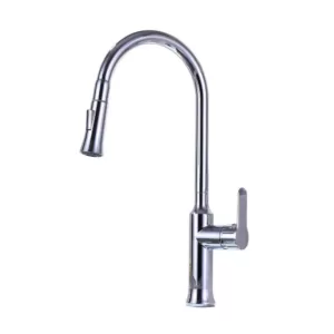 Vanity Art 8.27 in. Single-Handle Pull-Down Sprayer Kitchen Faucet in Chrome