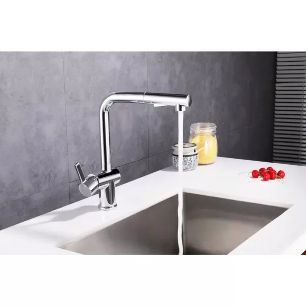 Vanity Art Single-Handle Pull Out Sprayer Kitchen Faucet in Polished Chrome