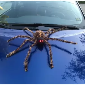 Worth Imports 22 in. Brown  Spider With Lighted Eyes (Set of 2)