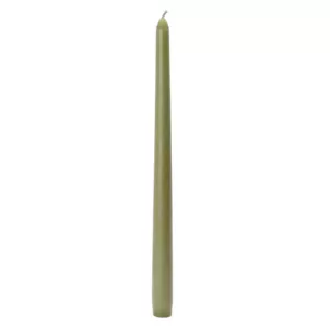 Zest Candle 12 in. Sage Green Taper Candles (12-Set)