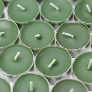 Zest Candle 1.5 in. Hunter Green Tealight Candles (50-Pack)